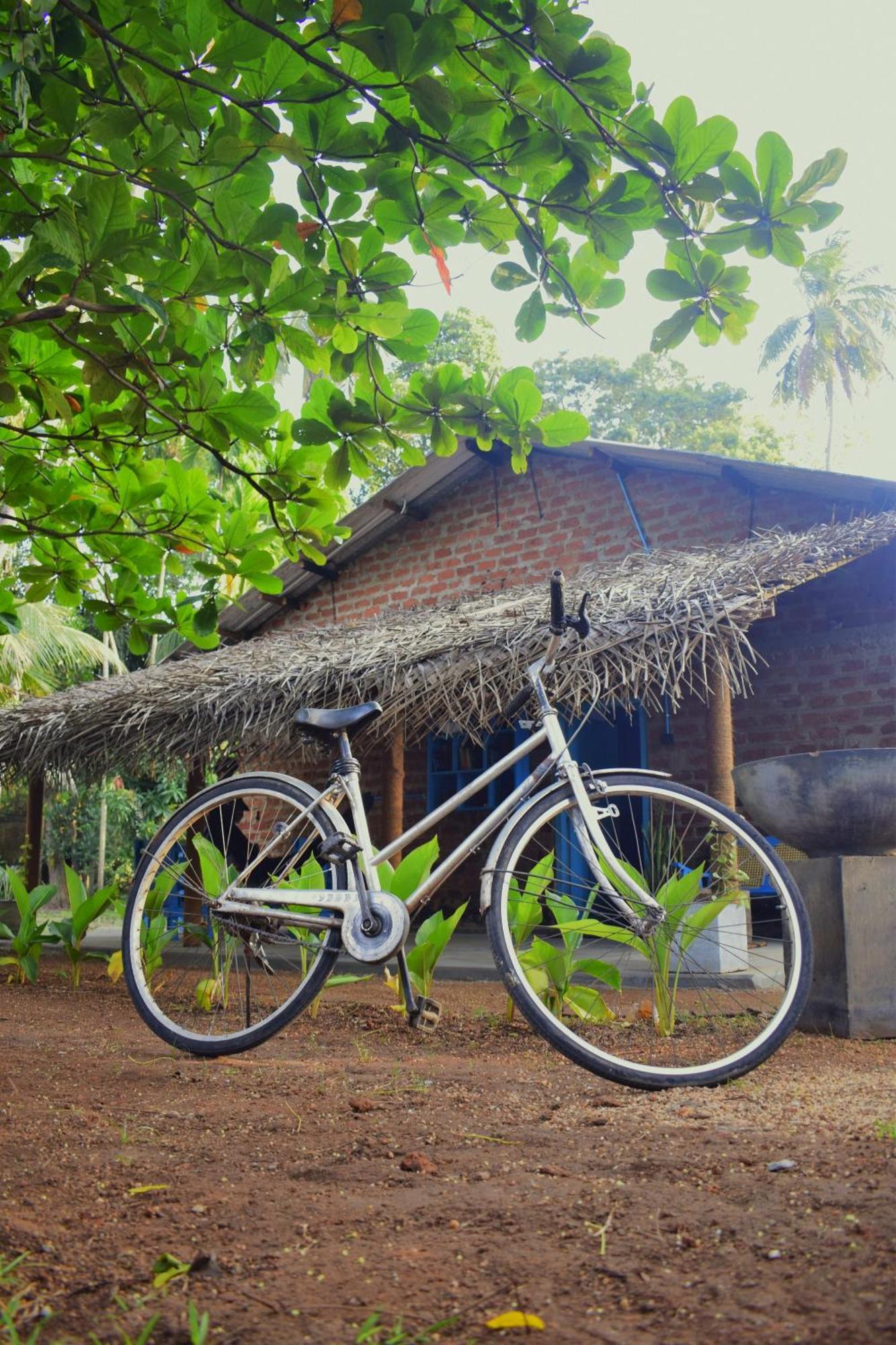 Chill House Hostel Anuradhapura Kültér fotó